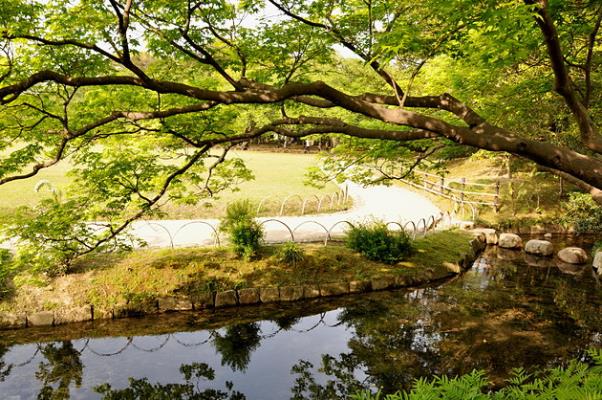 步韵和91岁寿翁陈开廉先生《闲吟》