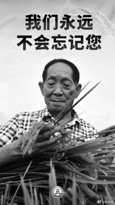 恸挽“杂交水稻之父”袁隆平