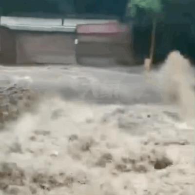 人民子弟兵赞