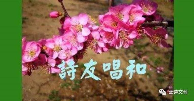 陈良传《自嘲》诗友唱和
