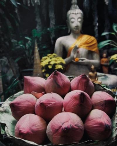 诗友唱和 《咏 莲》