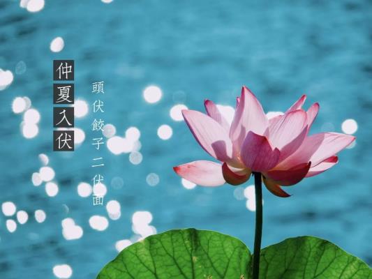 入伏——感谢诗友唱和