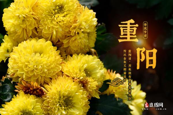 诗友唱和《念奴娇 ·寅虎重阳登高抒怀》