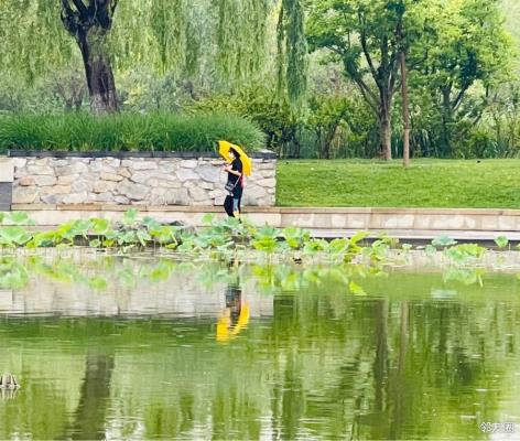 诗友唱和淮上老骥《河边雨中游》