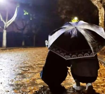 诗友唱和《初冬晚雨》