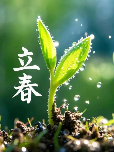 诗友唱和 《立春随感》  2025第二辑