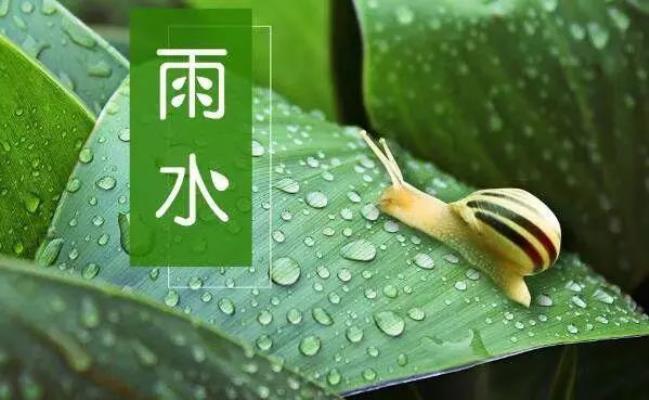 诗友唱和《雨水季节盼雨水》    2025第七辑