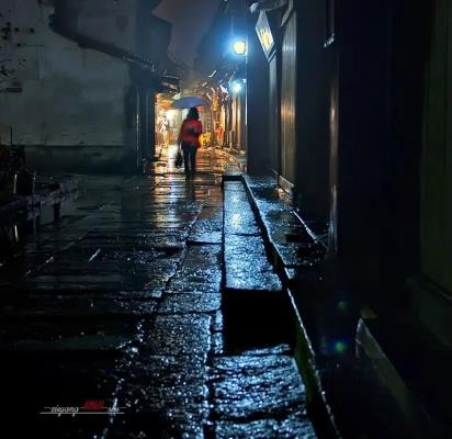 诗友唱和《西江月.雨夜小游》  2025第三十二辑