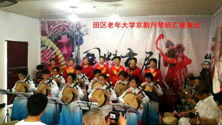 淮南田区老年大学京剧月琴班汇报演出照片