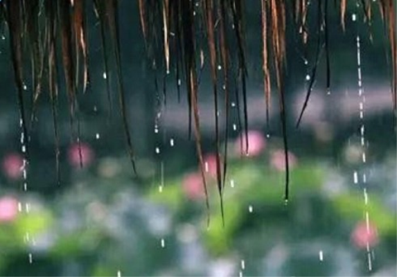 庚子梅雨
