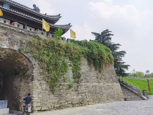 淮上诗家