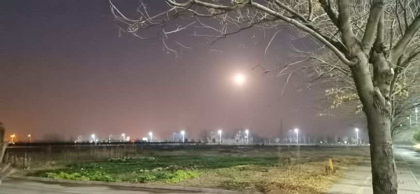 元旦早起遐想