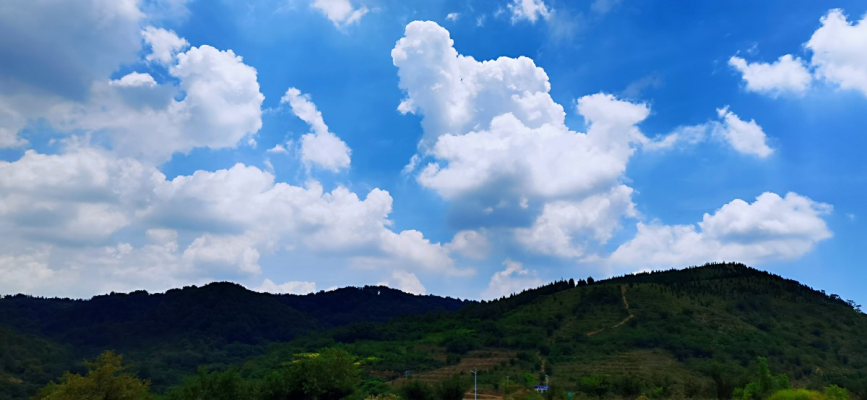 蝶恋花•读《爱在原点》