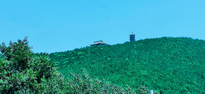 八公山下