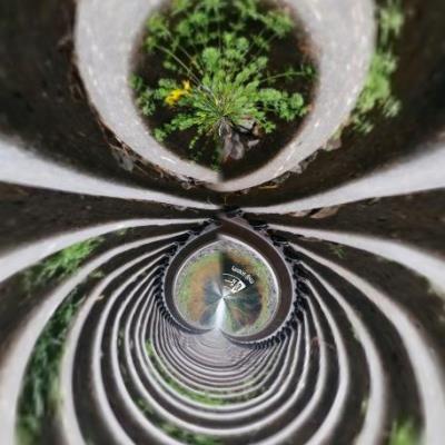 迷离世界