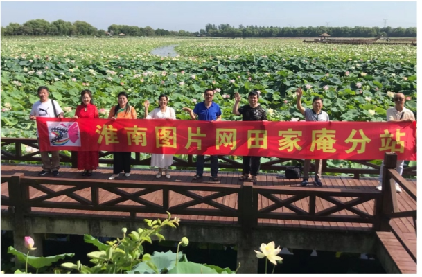 7月2号《淮南图片网》焦岗湖吟荷诗会