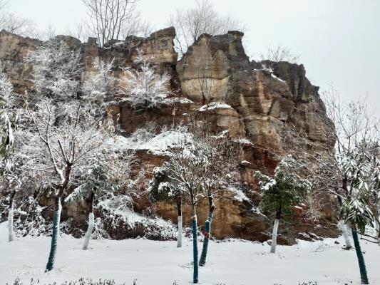 春雪