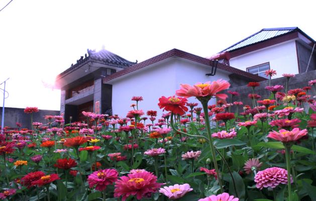 新农村