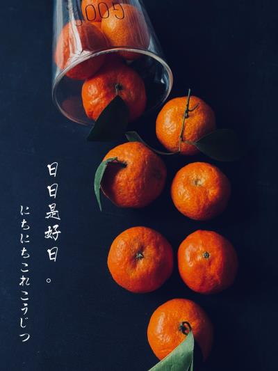 摄影之小橘子