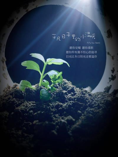 手机摄影之小草