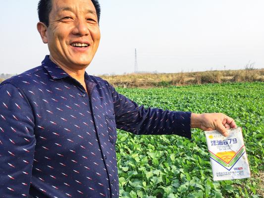 农村田间地头掠影——寿县‖万前进