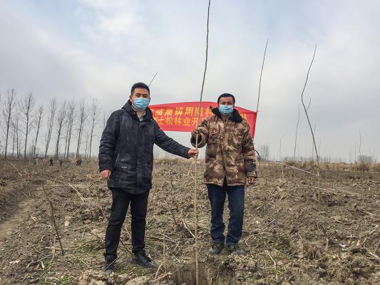 寿县双庙集镇：周岗现湾村民组《崔世松林业开发合作社》成立