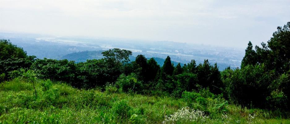 夏日的八公山景色更精彩