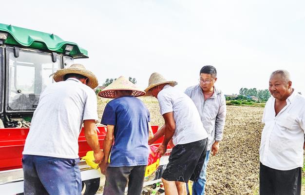 寿县双庙集镇两种品牌香稻落地高标准农田