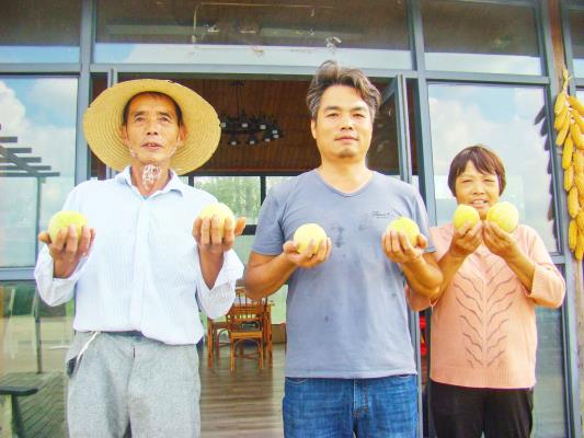 寿县双庙集镇 科技赋能 为冬桃稳产增产上“双保险”