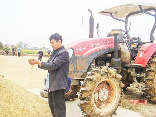 寿县瓦埠镇 福军水稻种植家庭农场负责人获省乡村振兴高级农艺师称号