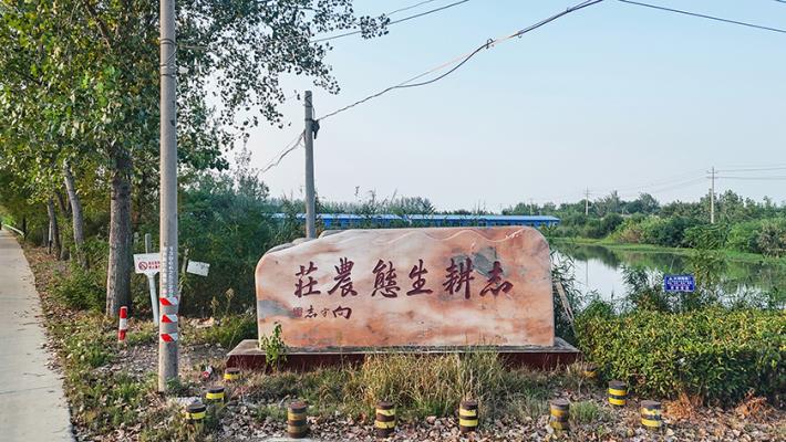寿县双庙集镇： 志耕生态农庄 田园风光如画