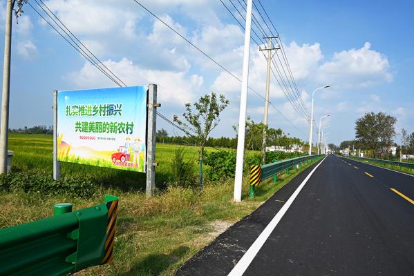 寿县大顺镇：金秋大地美如画