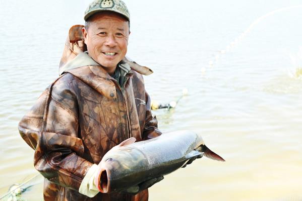 寿县小甸镇：鱼跃人欢乐 鱼塘好“丰”景
