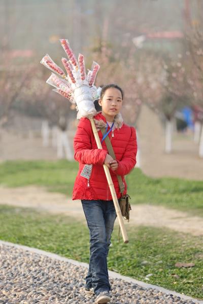 冰糖葫芦姑娘