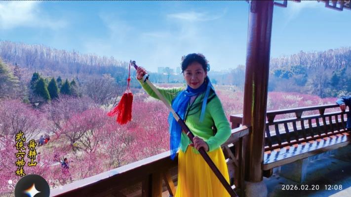 舜耕山梅亭武侠六姊妹