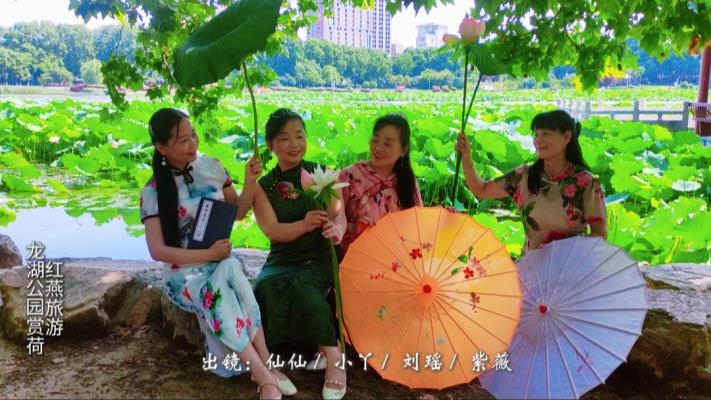 红燕旅游之淮南龙湖公园赏荷