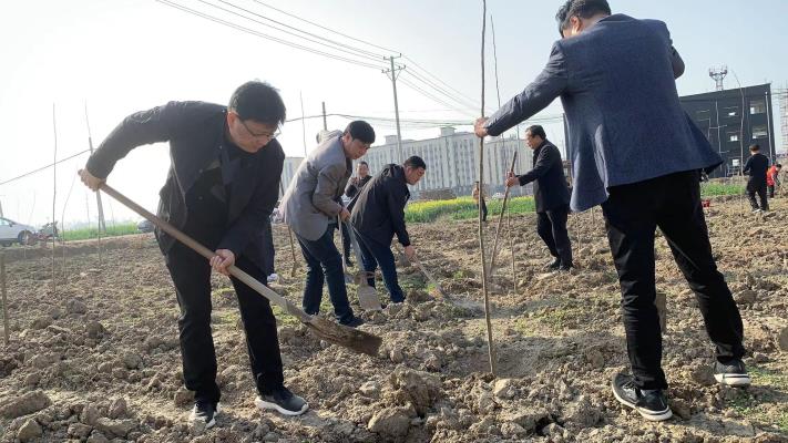 一年之计在于春，植树添绿正当时