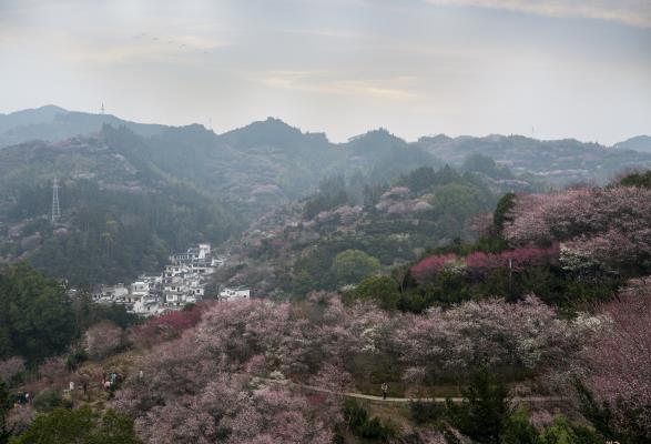 卖花渔村风光好