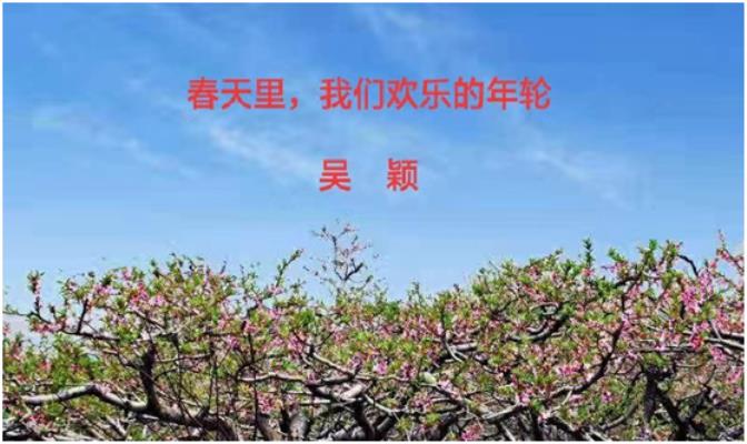 吴颖☆春天里，我们欢乐的年轮