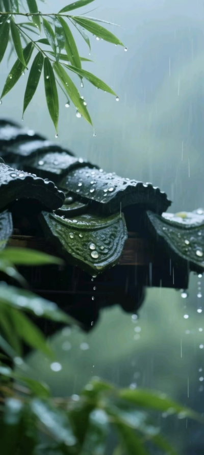 《观今望远》
