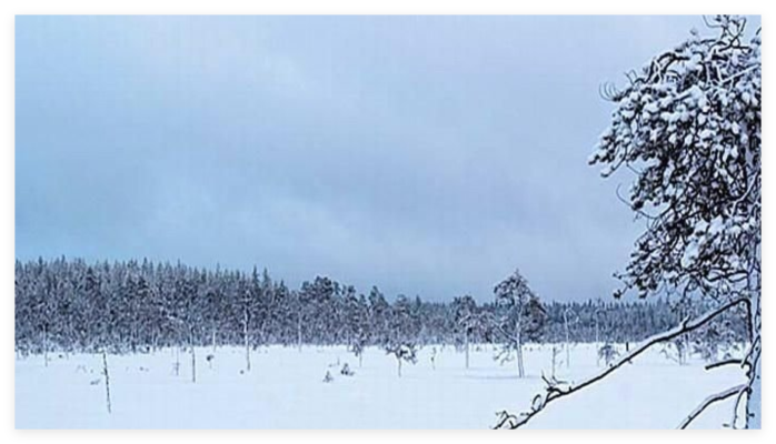 《立冬吟》:四首