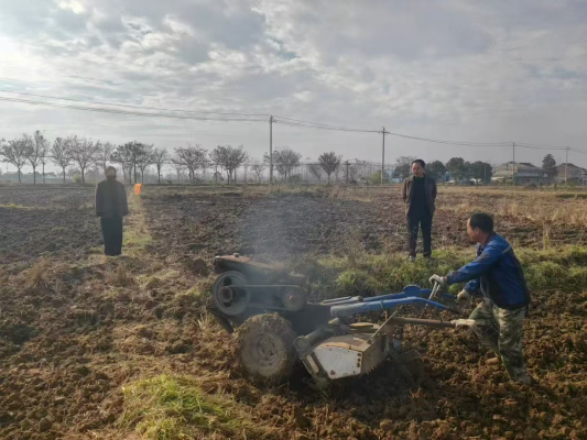 《七律·秋播有感》
