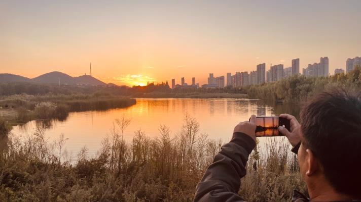 夕阳下大通湿地