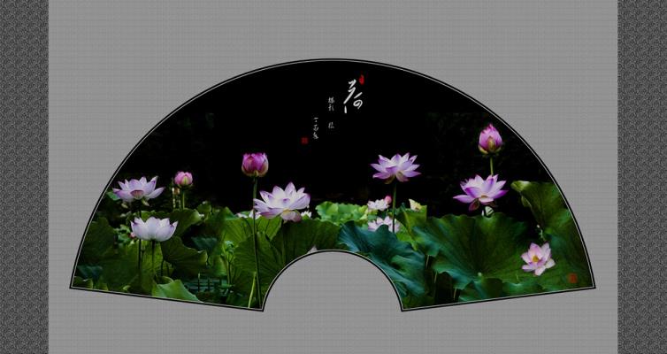 扇面荷花