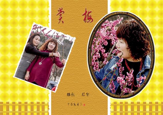 赏梅