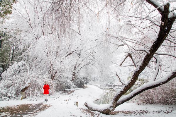 瑞雪