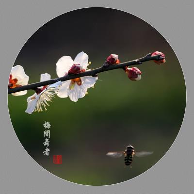 梅间舞者