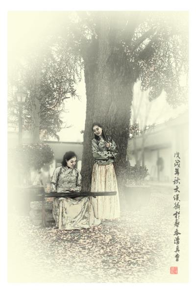 古寺老树呈古韵