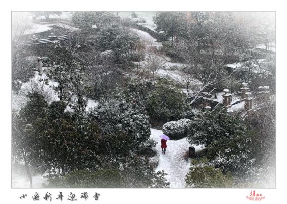 小区新年迎瑞雪