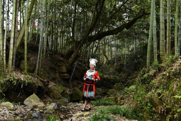 《苗 乡 风 情》
